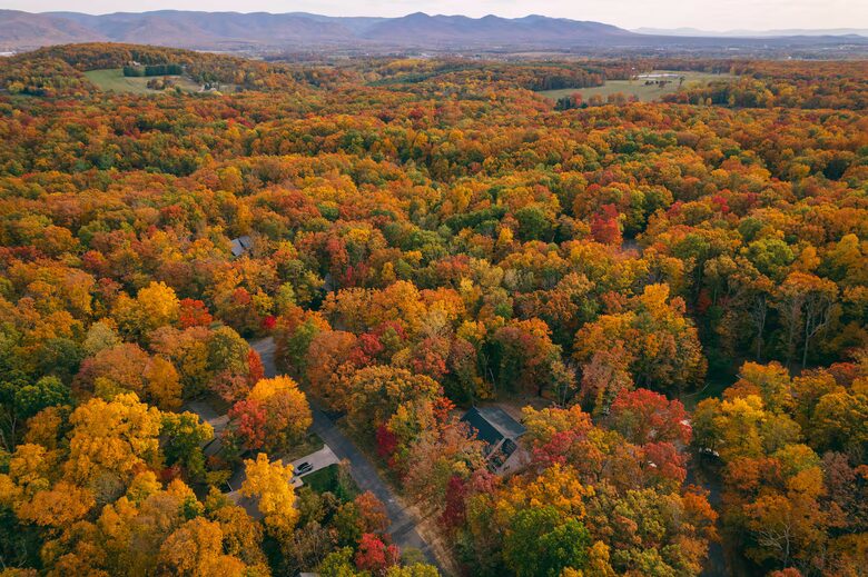 Luxury Mountain Retreat in Massanutten Resort - Massanutten, Virginia