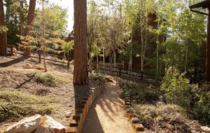 Mountain View Retreat in Castle Glen Estates - Big Bear Lake, California