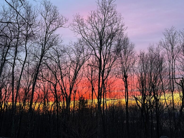Easter's First Blooms at the Estate and Late April Exclusive Tulip Extravaganza - Woodstock, New York