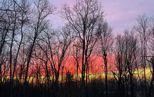 Hudson Valley Luxury Retreat in Woodstock - Woodstock, New York