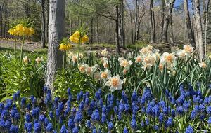 Hudson Valley Luxury Retreat in Woodstock - Woodstock, New York