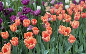 Hudson Valley Luxury Retreat in Woodstock - Woodstock, New York