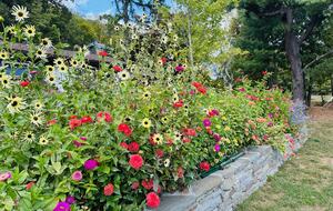 Hudson Valley Luxury Retreat in Woodstock - Woodstock, New York