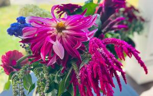 Hudson Valley Luxury Retreat in Woodstock - Woodstock, New York