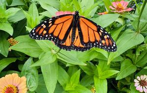 Hudson Valley Luxury Retreat in Woodstock - Woodstock, New York