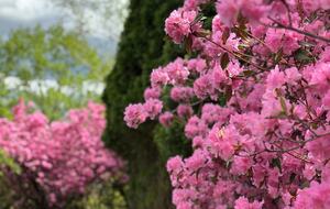Hudson Valley Luxury Retreat in Woodstock - Woodstock, New York