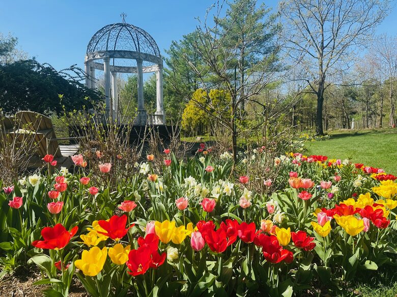 Easter's First Blooms at the Estate and Late April Exclusive Tulip Extravaganza - Woodstock, New York