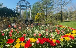 Hudson Valley Luxury Retreat in Woodstock - Woodstock, New York