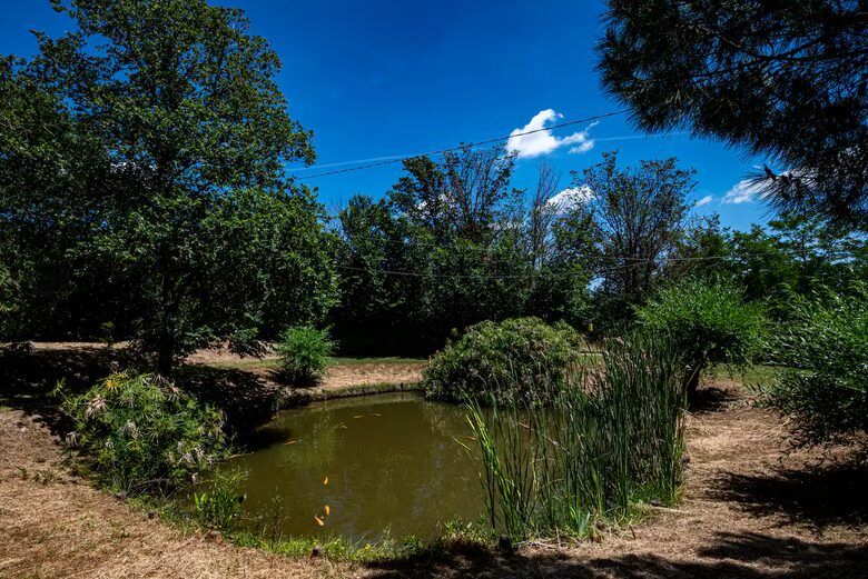 Tuscan Farmhouse Retreat with Infinity Pool & Views - Volterra, Italy