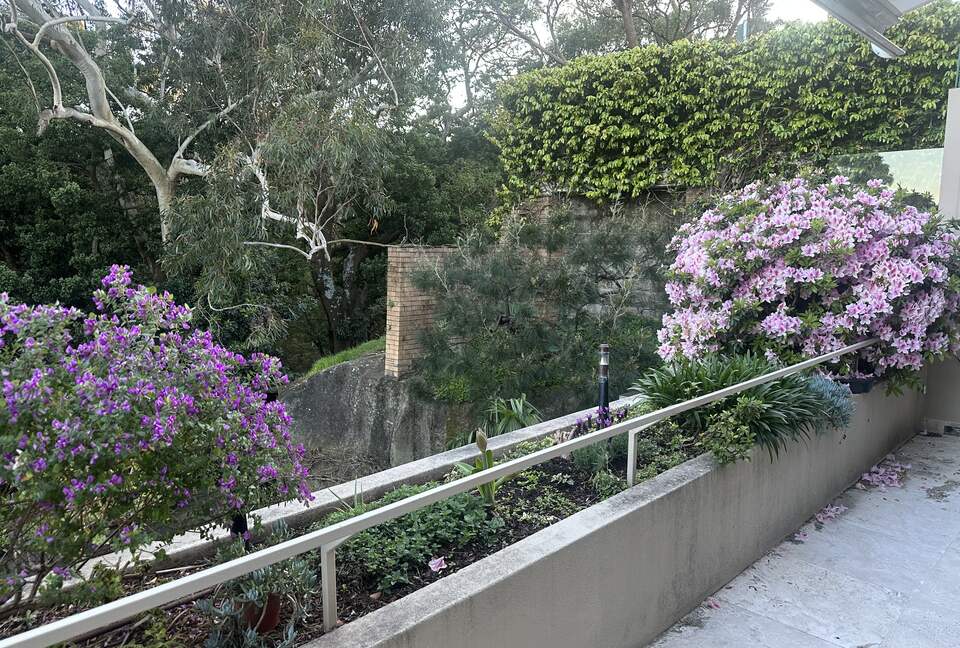 Modern Parkside Retreat Minutes from Bondi & Double Bay - Sydney, Australia