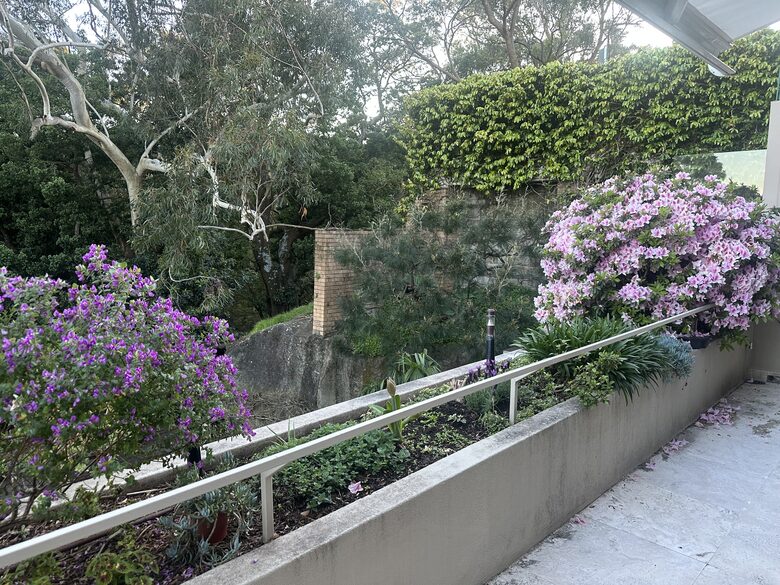 Modern Parkside Retreat Minutes from Bondi & Double Bay - Sydney, Australia