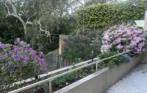 Modern Parkside Retreat Minutes from Bondi & Double Bay - Sydney, Australia