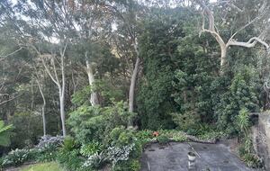 Modern Parkside Retreat Minutes from Bondi & Double Bay - Sydney, Australia