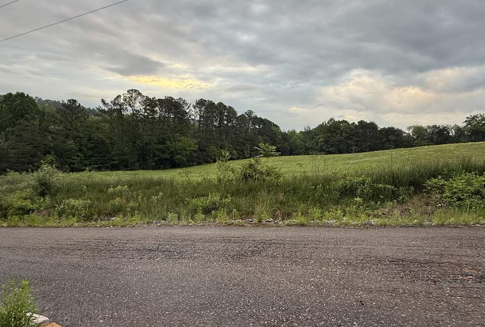 Neverland! A Fairy Home where Dreams come true! - Kodak, Tennessee