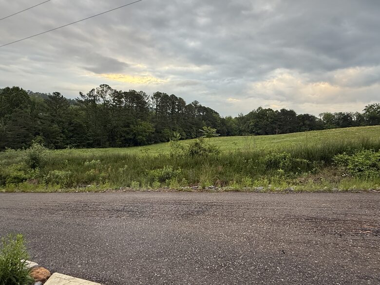 Neverland! A Fairy Home where Dreams come true! - Kodak, Tennessee