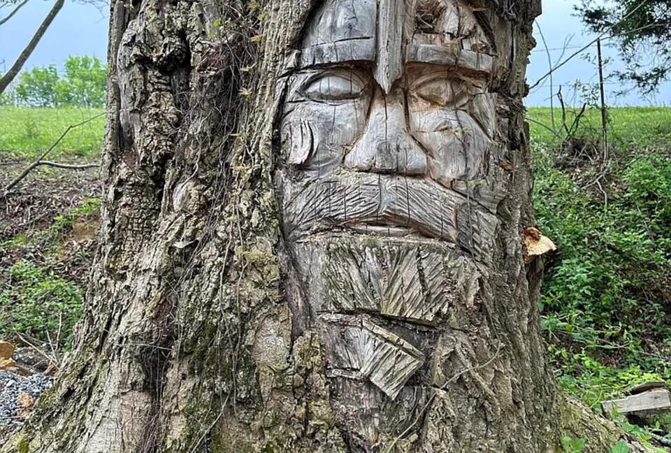 Neverland! A Fairy Home where Dreams come true! - Kodak, Tennessee