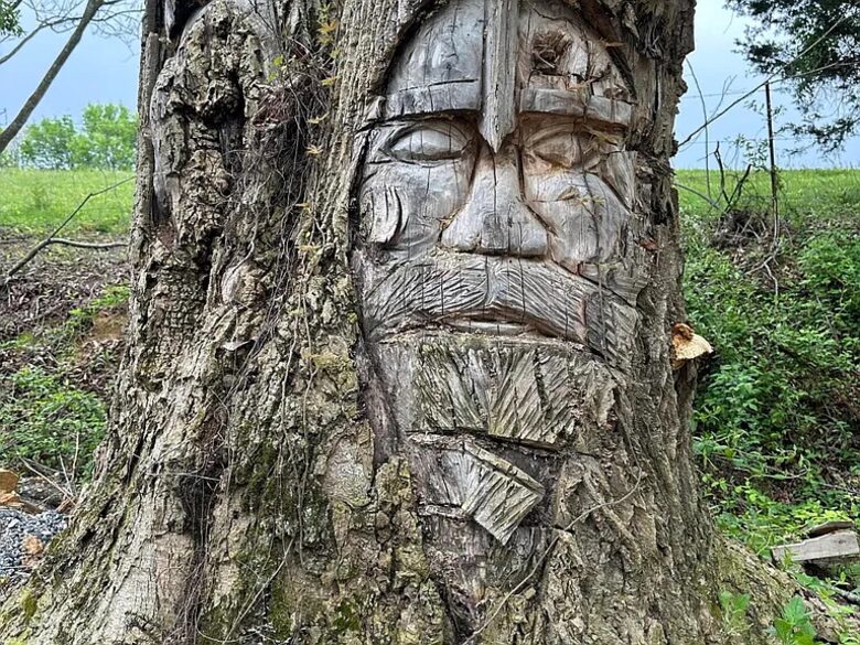 Neverland! A Fairy Home where Dreams come true! - Kodak, Tennessee