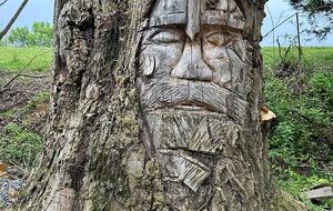 Neverland! A Fairy Home where Dreams come true! - Kodak, Tennessee