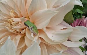 Hudson Valley Luxury Retreat in Woodstock - Woodstock, New York