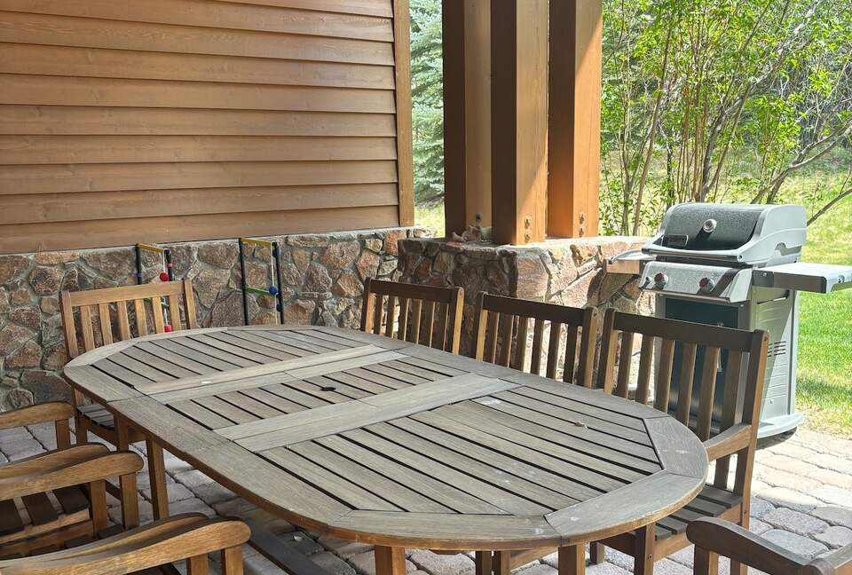 Outdoor dining and propane grill