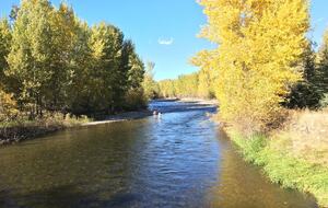 Cozy 2BR Ketchum Cabin with Views & Private Patio - Ketchum, Idaho