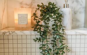 Harbourfront Luxury Penthouse in Darling Point - Sydney, Australia