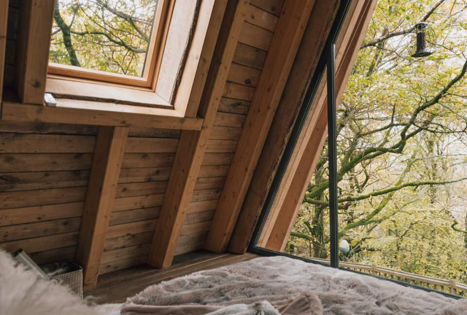 Have breakfast in bed with the birds