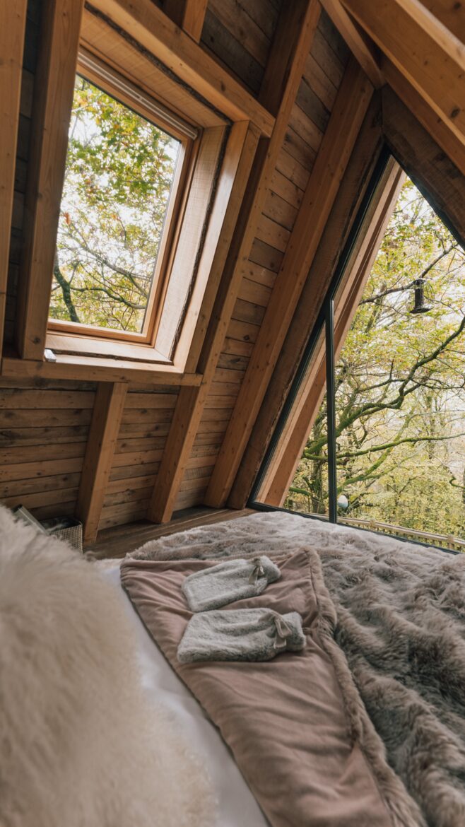 Have breakfast in bed with the birds