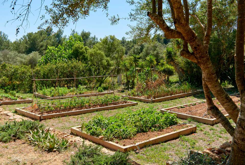 Ibiza Countryside Villa - Ibiza, Spain