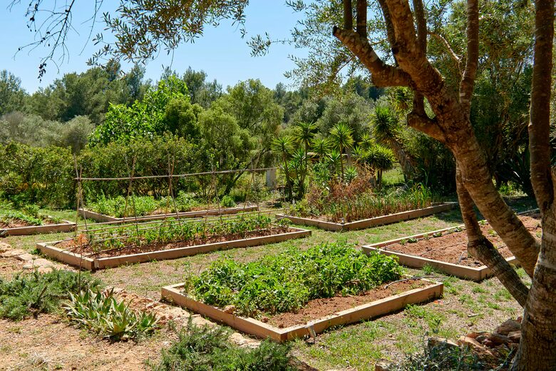 Ibiza Countryside Villa - Ibiza, Spain