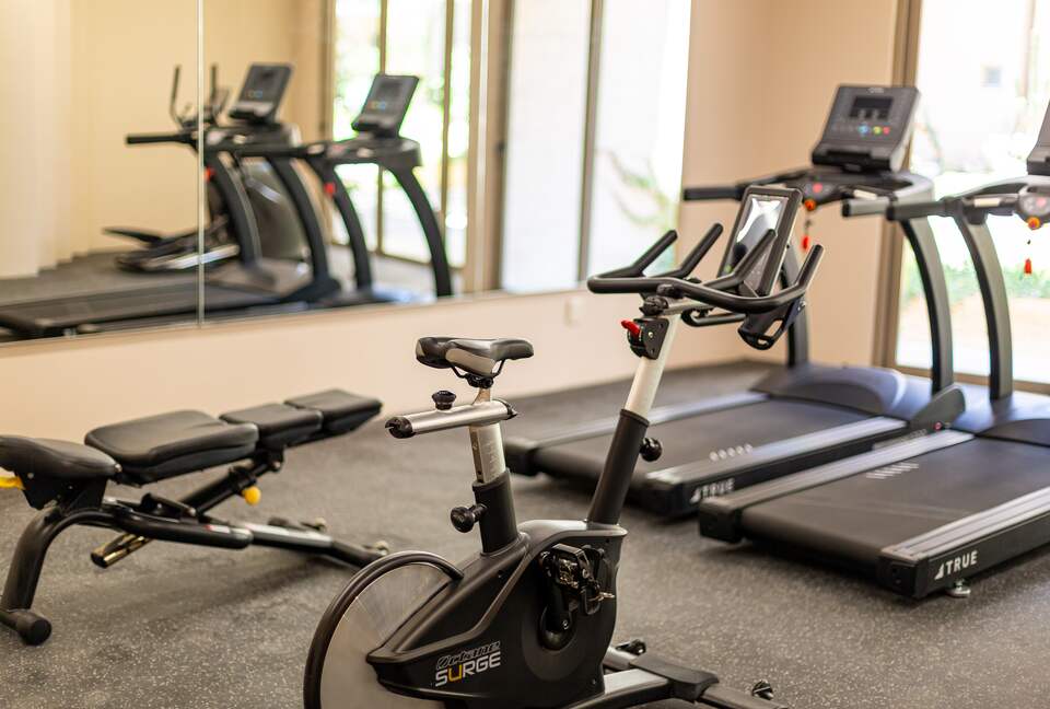 Brand New 3 BD Luxury Apartment in Cabo - Cabo San Lucas, Mexico