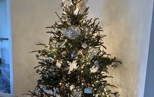 Hudson Valley Luxury Retreat in Woodstock - Woodstock, New York