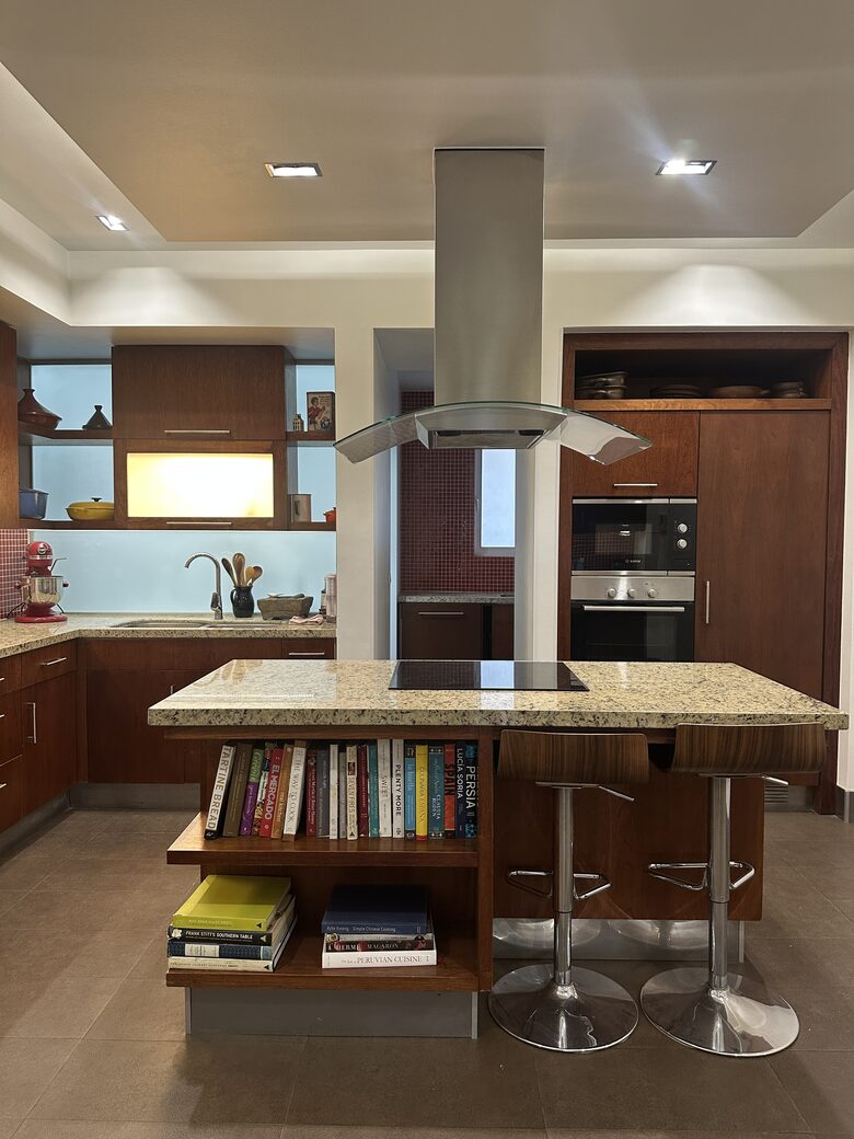 Andean View Apartment in Historic Lastarria - Santiago, Chile