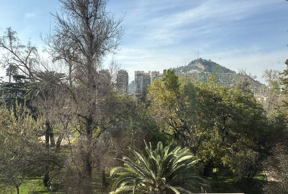 Andean View Apartment in Historic Lastarria - Santiago, Chile