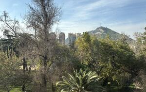 Andean View Apartment in Historic Lastarria - Santiago, Chile