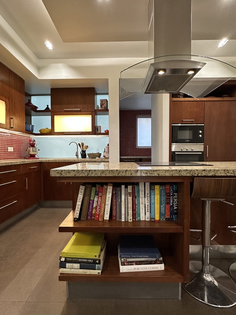 Andean View Apartment in Historic Lastarria - Santiago, Chile