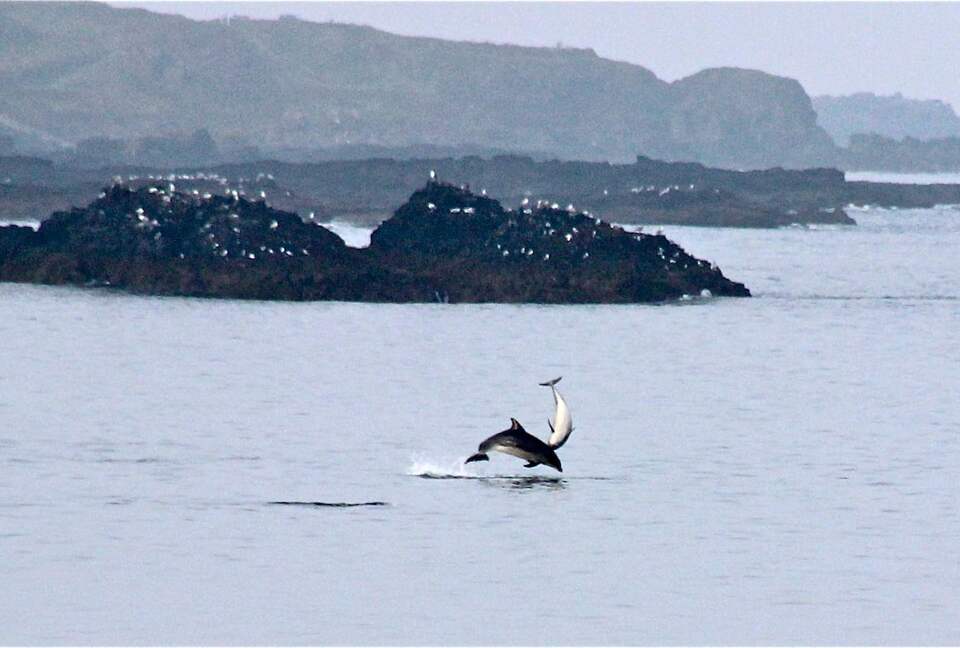 Inviting Seafront Escape on the Causeway Coast - Portrush, United Kingdom