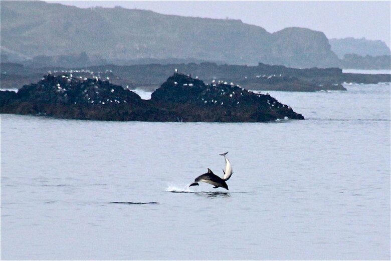 Inviting Seafront Escape on the Causeway Coast - Portrush, United Kingdom