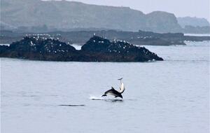 Inviting Seafront Escape on the Causeway Coast - Portrush, United Kingdom