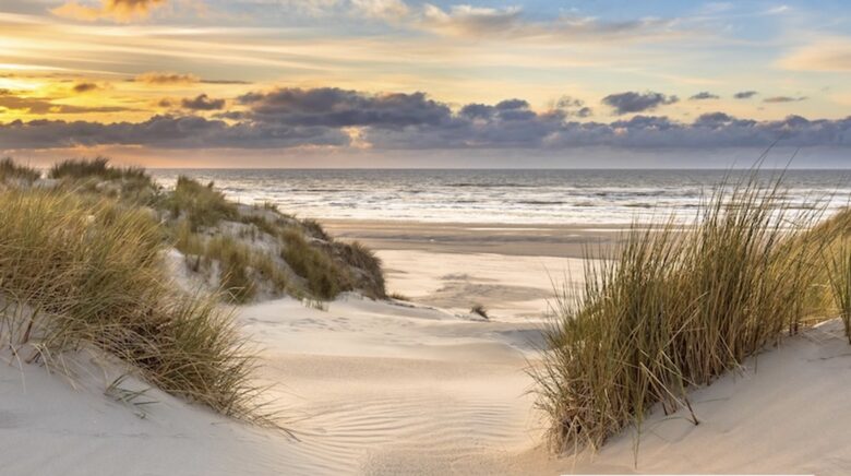 Dune Reach, Cambersands - Rye, United Kingdom
