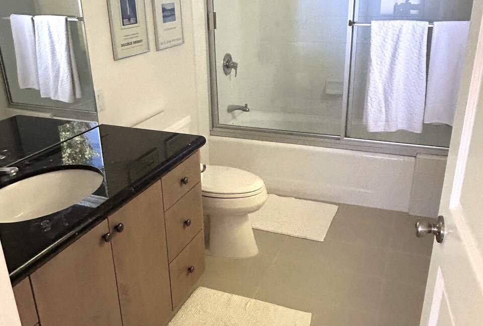 Queen bedroom's bathroom downstairs