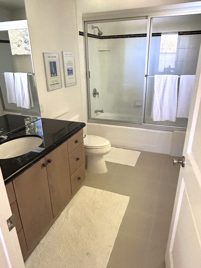 Queen bedroom's bathroom downstairs