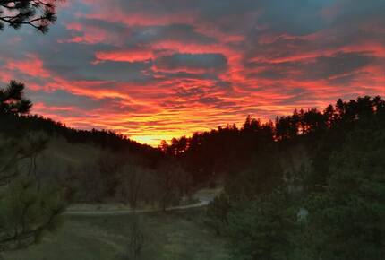 Elegant Foothills Escape Minutes from Pearl Street - Boulder, Colorado