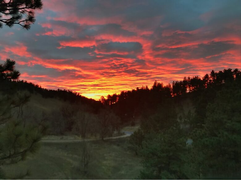 Elegant Foothills Escape Minutes from Pearl Street - Boulder, Colorado