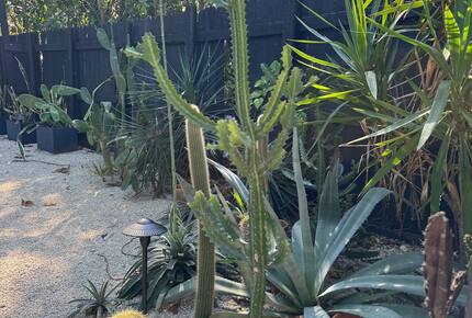 Stylish 2BR Miami Retreat with Botanical Interiors & Backyard Oasis - Miami, Florida