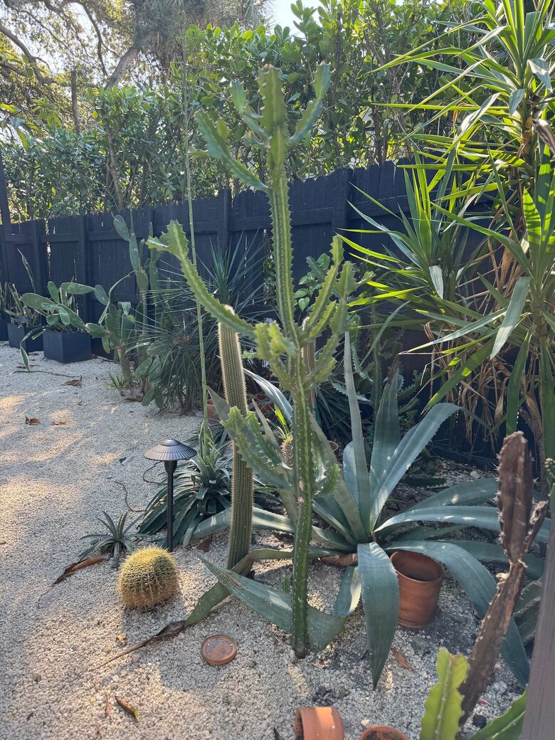 Stylish 2BR Miami Retreat with Botanical Interiors & Backyard Oasis - Miami, Florida