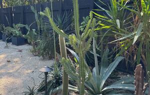 Stylish 2BR Miami Retreat with Botanical Interiors & Backyard Oasis - Miami, Florida