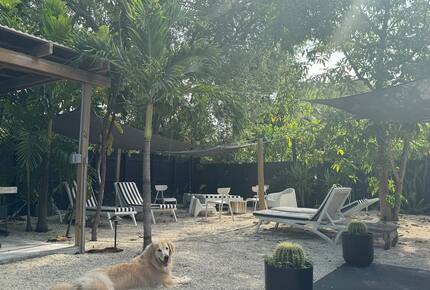 Stylish 2BR Miami Retreat with Botanical Interiors & Backyard Oasis - Miami, Florida