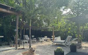 Stylish 2BR Miami Retreat with Botanical Interiors & Backyard Oasis - Miami, Florida