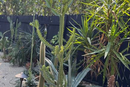 Stylish 2BR Miami Retreat with Botanical Interiors & Backyard Oasis - Miami, Florida